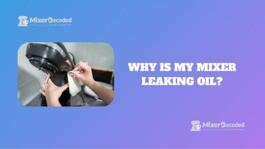 mixer leaking oil